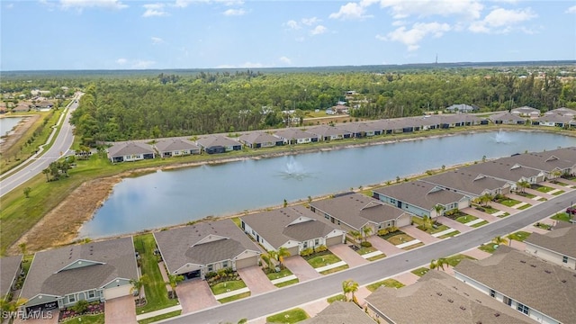 20684 Plumwood Loop, North Fort Myers, FL 33917 - photo 29
