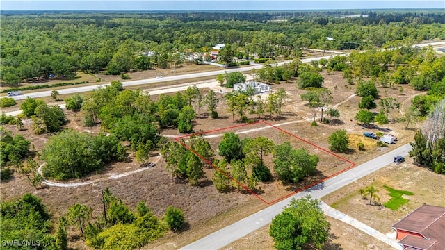 1407 Robert Ave, Lehigh Acres, FL 33972 - photo 5