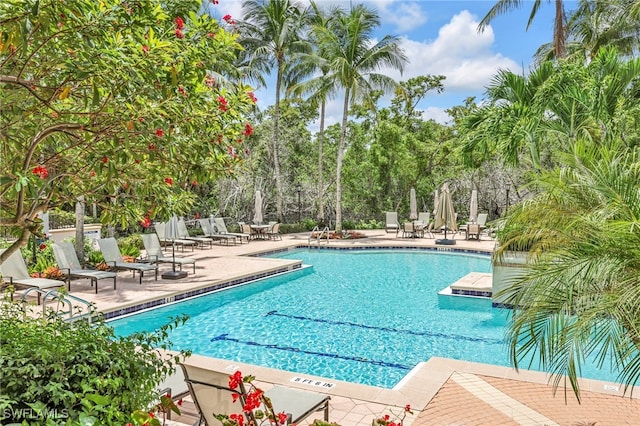455 Cove Tower Dr Unit 303, Naples, FL 34110 - photo 37