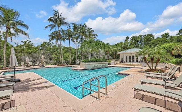 455 Cove Tower Dr Unit 303, Naples, FL 34110 - photo 38