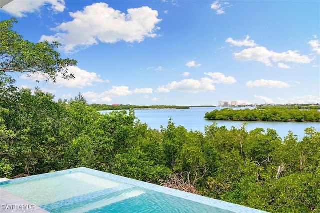 1149 Blue Hill Creek Dr, Marco Island, FL 34145 - photo 32