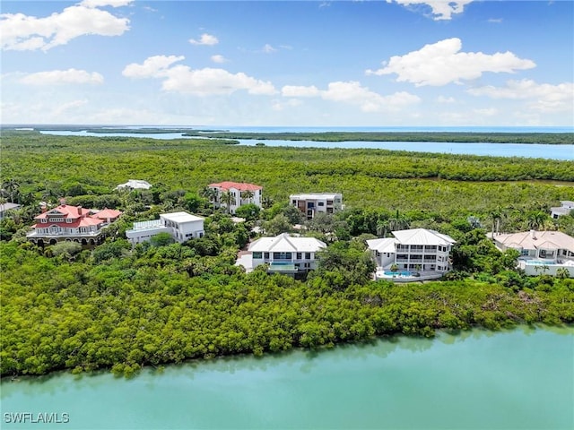 1149 Blue Hill Creek Dr, Marco Island, FL 34145 - photo 38