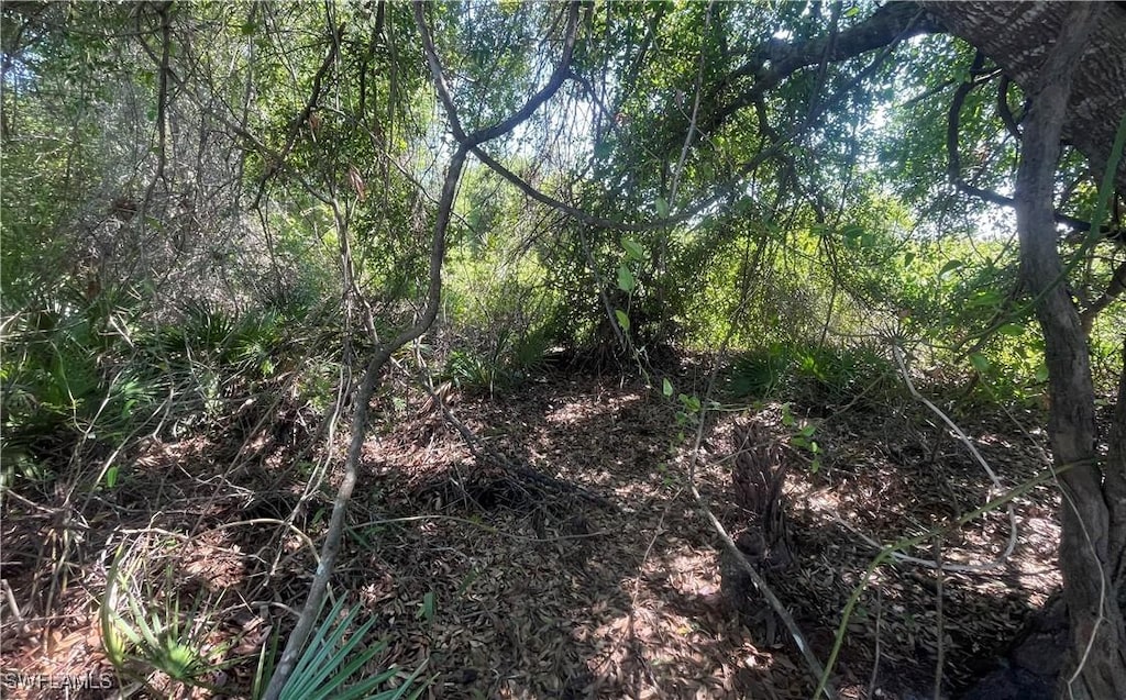 870 Chezy St E, Lehigh Acres, FL 33974 - photo 2