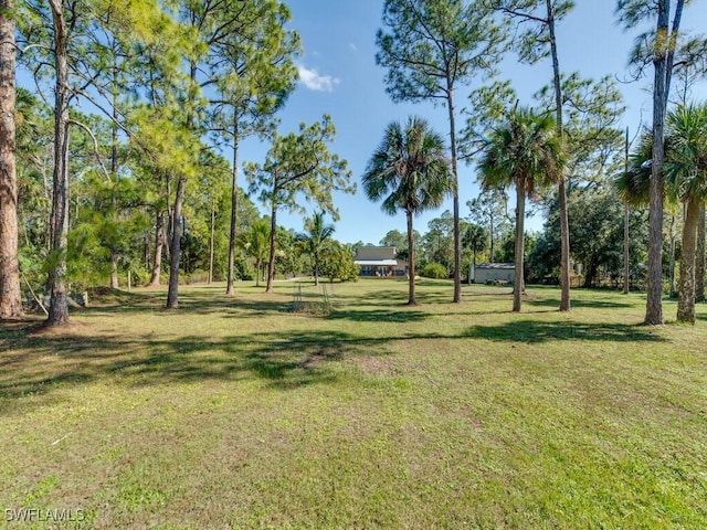 3091 4th St NE, Naples, FL 34120 - photo 20