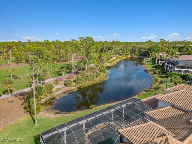 15821 Savona Way, Naples, FL 34110 - photo 35