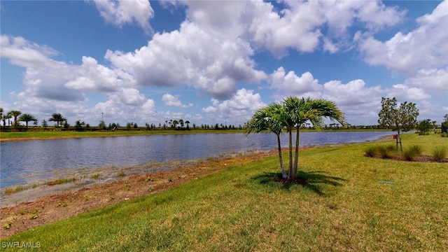 6248 Harmony Dr, Ave Maria, FL 34142 - photo 48