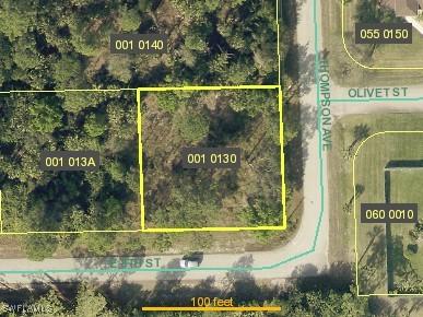 1207 E 8th St, Lehigh Acres, FL 33972 - photo 1