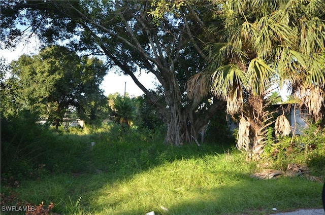 3341 Willard St, Fort Myers, FL 33916 - photo 28