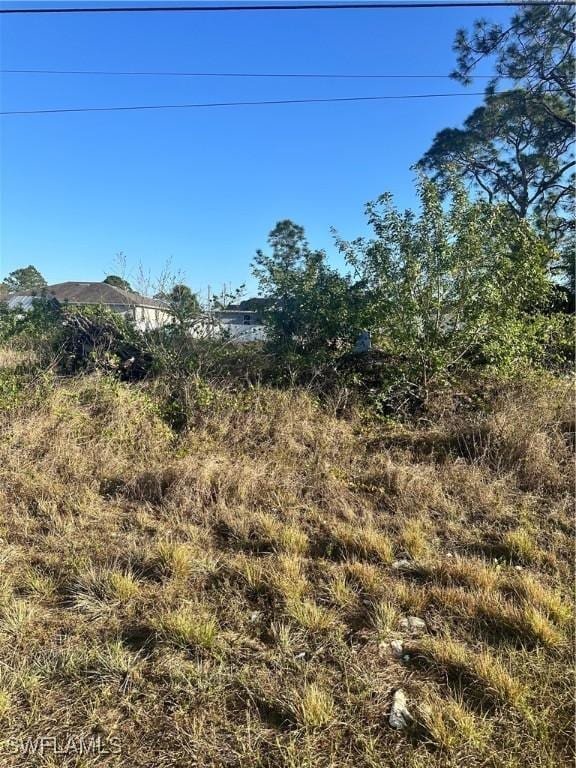 1037 Portland Ave S, Lehigh Acres, FL 33974 - photo 1