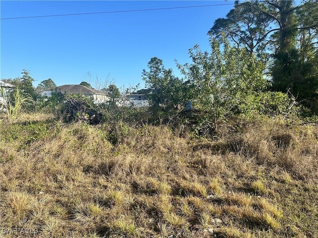 1037 Portland Ave S, Lehigh Acres, FL 33974 - photo 2