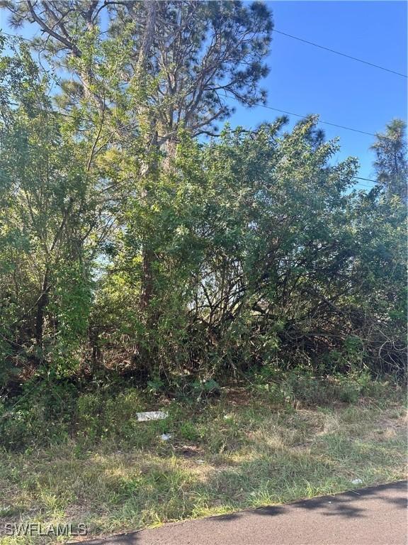 3401 38th St SW, Lehigh Acres, FL 33976 - photo 1