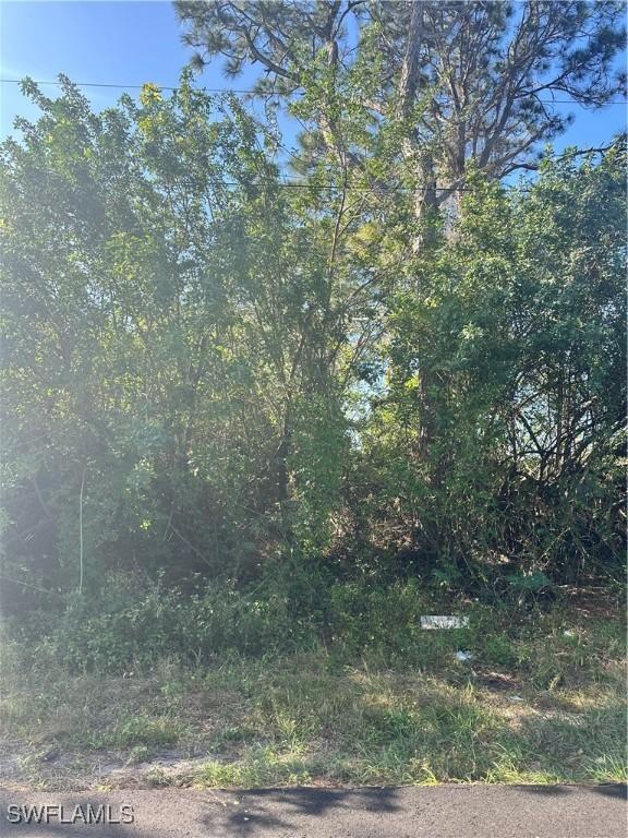 3401 38th St SW, Lehigh Acres, FL 33976 - photo 2