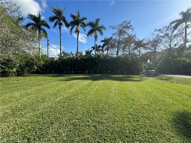 4369 Cypress Ln, Fort Myers, FL 33905 - photo 38
