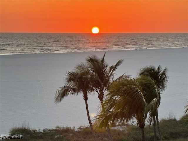 140 Seaview Ct Unit 602S, Marco Island, FL 34145 - photo 29