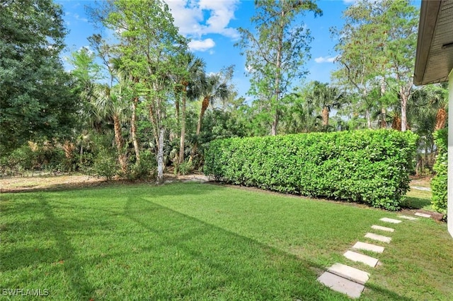 4350 1st Ave NW, Naples, FL 34119 - photo 34
