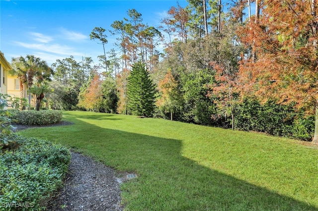 26413 Lucky Stone Rd Unit 202, Bonita Springs, FL 34135 - photo 30