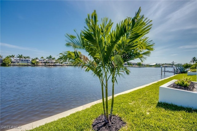 4241 NW 26th St, Cape Coral, FL 33993 - photo 42