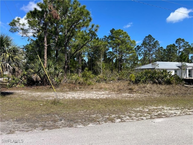 2910 35th St W, Lehigh Acres, FL 33971 - photo 3