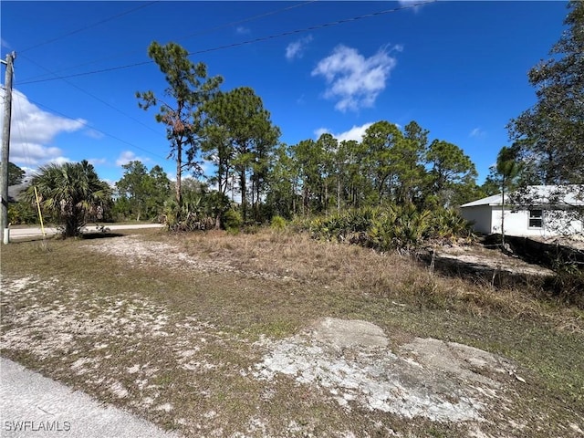 2910 35th St W, Lehigh Acres, FL 33971 - photo 5