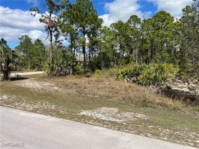 2910 35th St W, Lehigh Acres, FL 33971 - photo 2