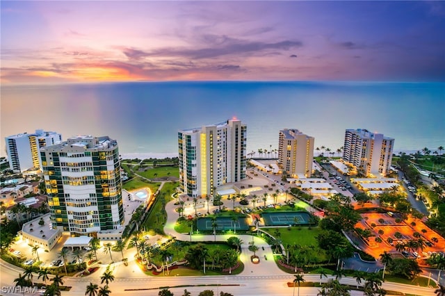 3991 Gulf Shore Blvd N Unit 1004, Naples, FL 34103 - photo 42