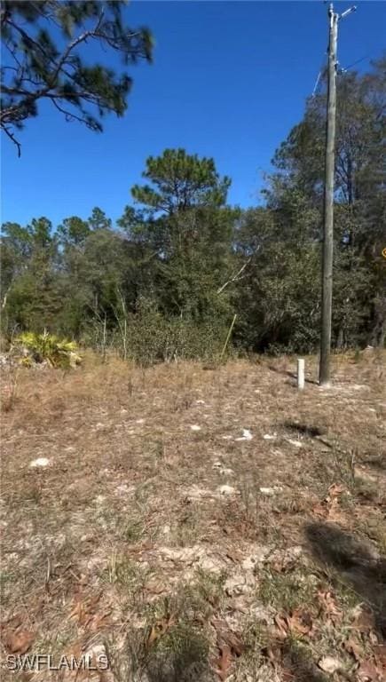 116 Lancaster St, Interlachen, FL 32148 - photo 2