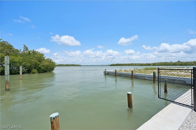 305 Pear Tree Ave, Goodland, FL 34140 - photo 22