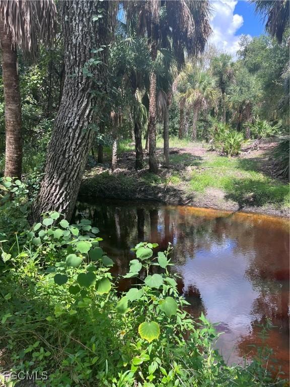 6491 Rich Car Ln, North Fort Myers, FL 33917 - photo 3