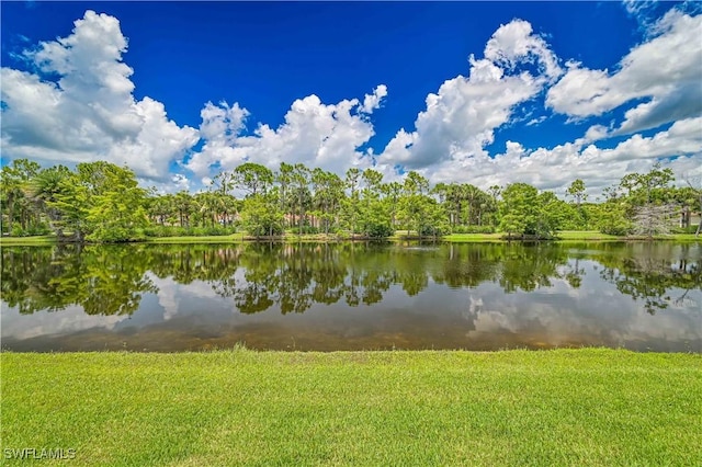 8968 Crown Bridge Way, Fort Myers, FL 33908 - photo 3
