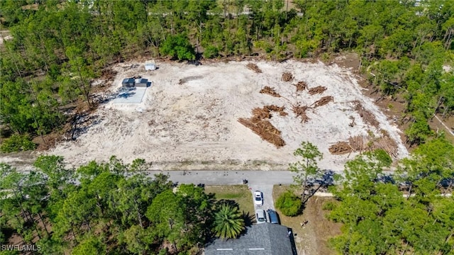1207 Columbus Ave, Lehigh Acres, FL 33972 - photo 1