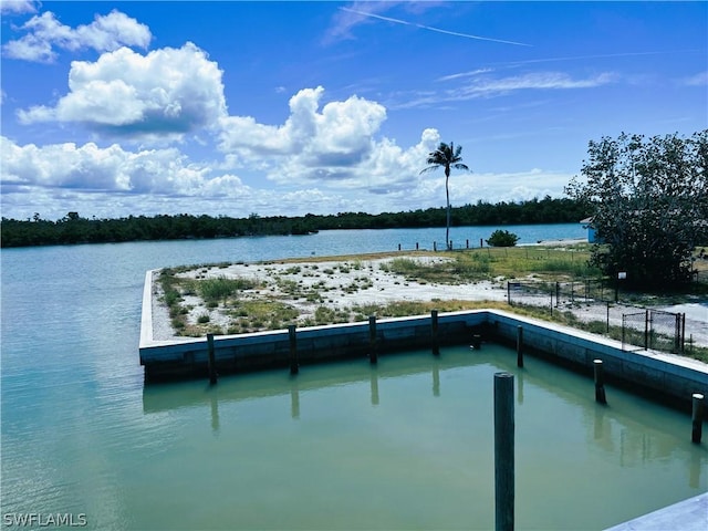 301 Pear Tree Ave, Goodland, FL 34140 - photo 4