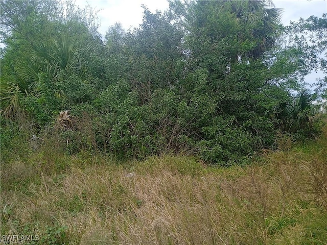 3512 26th St SW, Lehigh Acres, FL 33976 - photo 4