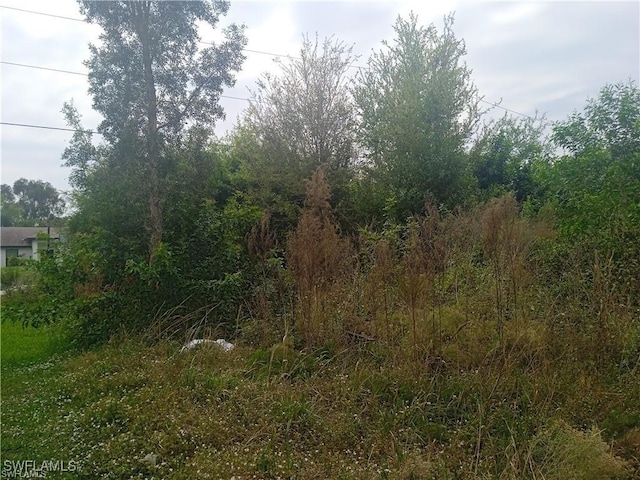 3512 26th St SW, Lehigh Acres, FL 33976 - photo 8