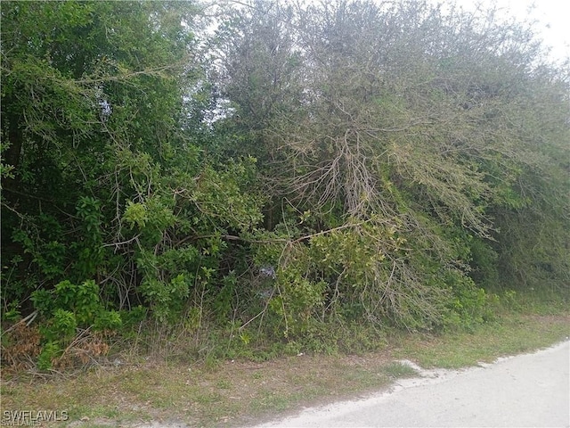 3512 26th St SW, Lehigh Acres, FL 33976 - photo 2