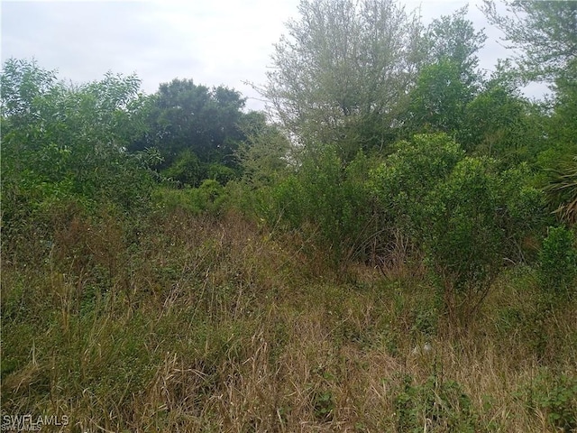 3512 26th St SW, Lehigh Acres, FL 33976 - photo 7