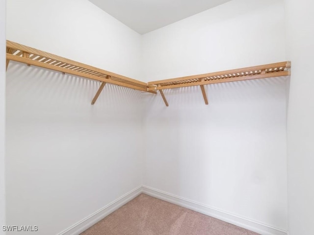 1100 Pine Ridge Rd Unit B307, Naples, FL 34108 - photo 20