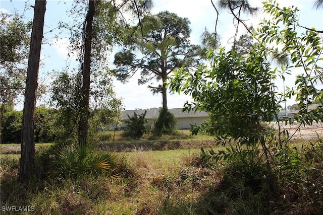 2609 Owen Ave S, Lehigh Acres, FL 33973 - photo 34