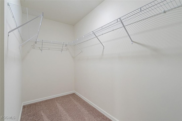 1908 NW 23rd St, Cape Coral, FL 33993 - photo 23