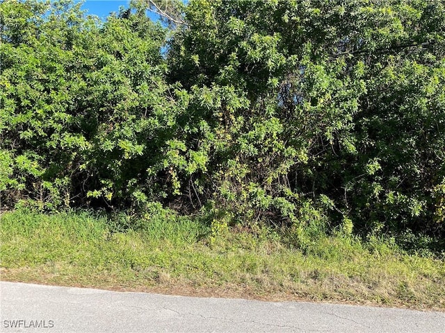 2603 E 7th St, Lehigh Acres, FL 33936 - photo 3