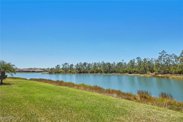 21651 Bella Terra Blvd, Estero, FL 33928 - photo 28