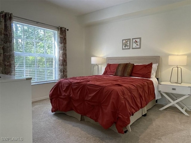 4440 Botanical Place Cir Unit 102, Naples, FL 34112 - photo 7