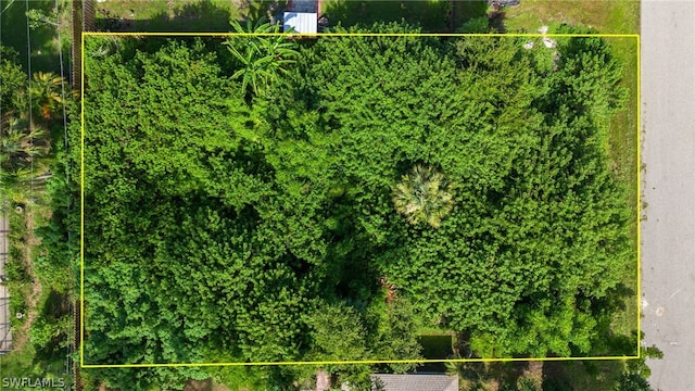 1133 Victoria Ave, Port Charlotte, FL 33948 - photo 8