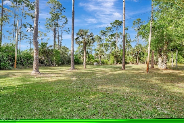 809 Robert Ave, Lehigh Acres, FL 33936 - photo 36