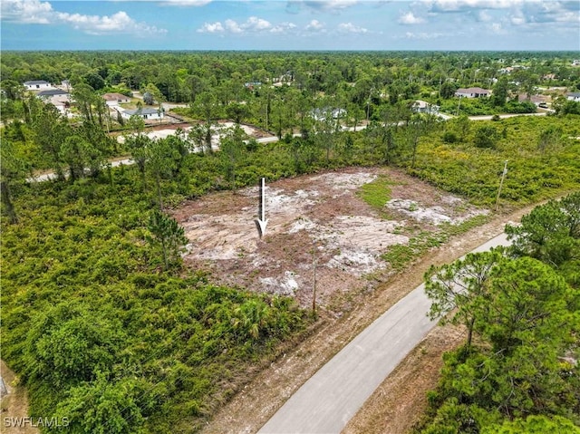 315 Bradley Ave, Lehigh Acres, FL 33974 - photo 4