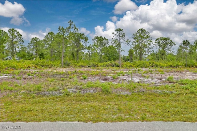315 Bradley Ave, Lehigh Acres, FL 33974 - photo 1