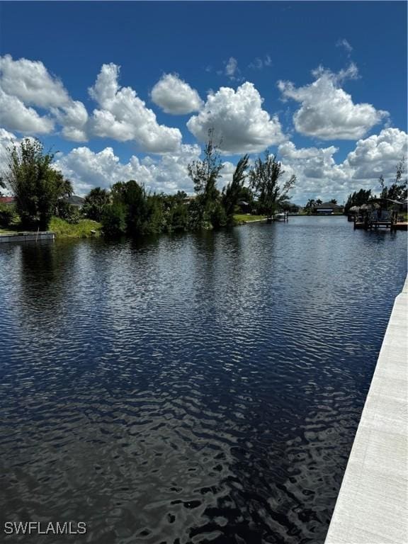 2335 NW 35th Ave, Cape Coral, FL 33993 - photo 5