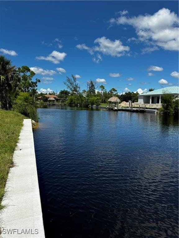 2335 NW 35th Ave, Cape Coral, FL 33993 - photo 6