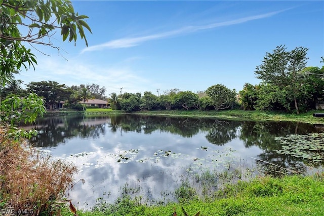 1084 Lake Shore Ct, Naples, FL 34103 - photo 3