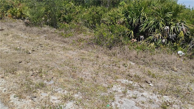 2514 33rd St SW, Lehigh Acres, FL 33976 - photo 3