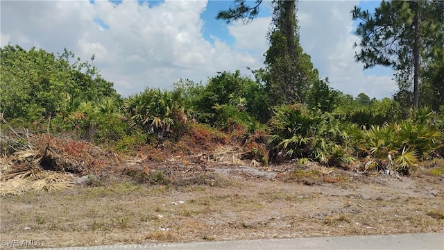 2514 33rd St SW, Lehigh Acres, FL 33976 - photo 4